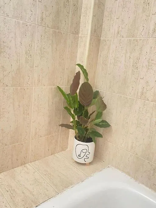 Apartamento Fabuloso Apartamento En Benalmadena Con Piscina España